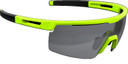 BBB Avenger Sunglasses