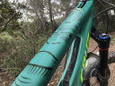 All Mountain Style Basic Frame Guard - Clear/Ape
