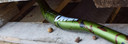 DMR Wingbar MK4 SE Handlebar 800 x 35mm Liquid Camo Green