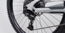 YT CAPRA 29 Core 2 Alloy MTB Machine Light Grey