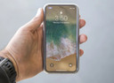 Quad Lock Rain Poncho - iPhone 12 Mini