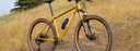 Ritchey Ultra MTB Frameset Honey Mustard