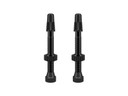 WTB TCS Presta Valve Set Black 46mm