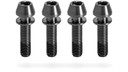 Kogel Titanium Stem Face Plate Bolts (4 Pack)