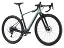 Giant 2023 Revolt X Advanced Pro 2 M/L Misty Forest Bike