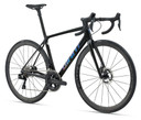 Giant 2024 TCR Adv SL 0 Disc Raw Carbon