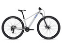 Liv 2024 Tempt 29" 4 Silver MTB