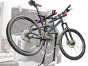Allen 302DN Deluxe Spare Tyre Bike Rack