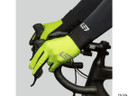 Bellwether Climate Control Gloves