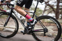 Bont Vaypor+ Road Shoes Black / White