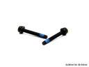 Campagnolo Screws for Rear Disc Brake Caliper Mounts