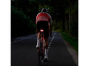 CloseTheGap HideMyBell CoverMyBack2 + Rear Mudguard