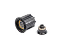 DT Swiss Campagnolo EXP Ratchet Ceramic Freehub Kit