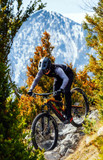 Forestal Cyon Diode 29" Carbon Electric Mountain Bike - Bird's Trail