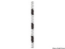 RockShox BoXXer/Domain Dual Crown Replacement Coil Spring (2010)