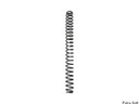 RockShox Domain Coil Spring (Single)
