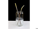 Silca Titanium Straw Set