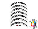 Zipp Decal Kit for 808 Rim Brake Wheels (Single)