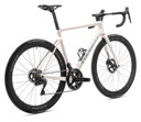 Colnago V4RS Road Disc Frameset RVWO