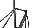 Giant TCR Advanced SL Frameset Raw Carbon