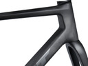 Giant TCR Advanced SL Frameset Raw Carbon