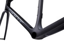 Giant TCR Advanced SL Frameset Raw Carbon