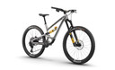 YT Capra Core 5 29in Carbon Liquid Met Alloy MTB