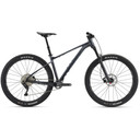 Giant 2023 Fathom 29" 2 L Black Diamond Bike