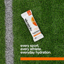 Skratch Labs Everyday Hydration Mix Lemon + Lime 120g