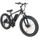 Leitner Electric Fat High Power Off-Road Ebike Black 15ah