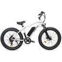 Leitner Electric Fat High Power Off-Road Ebike White 15ah