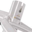 DMR Trailstar Titanium Frame