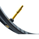 PANZER Tubeless Valves 2 Pcs Gold 48mm