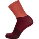 Santini Big Bengal High Profile Socks Vineyard