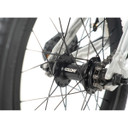 Colony Horizon 16 Polished