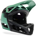 FOX Proframe RS AS SOL Pine