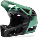 FOX Proframe RS AS SOL Pine