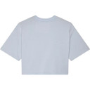 Fox Womens Wordmark OS Crop Tee Pale Blue