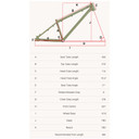 DMR Sect 24 Custom Frame Pistachio