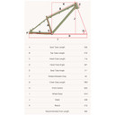 DMR Sect 26 Custom Frame Pistachio