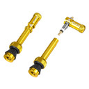 Gold valve stems with valve caps