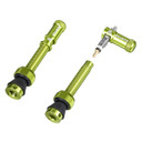 Green valve stem with valve caps