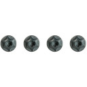 4 Blue bottle cage bolts