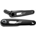 SRAM Rival AXS E1 DUB Crank Arm Assembly