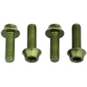 Wolf Tooth Bottle Cage Bolts Olive