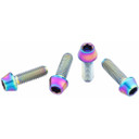 Wolf Tooth Ti Bottle Cage Bolts ST Oil Slick