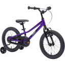 Apollo Neo+ 16 Chrome Purple