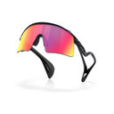 Oakley Stunt Wing Black Ink W/ Prizm Road Lens