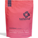 Tailwind Endurance Fuel 1.35kg Raspberry (Caffeinated)