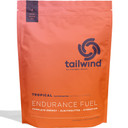 Tailwind Endurance Fuel 1.35kg Tropical (Caffeinated)